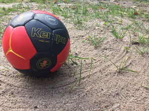 爱游戏app注册-“沙滩赛场燃爆天府新区，沙滩手球和合球上演极限对决”